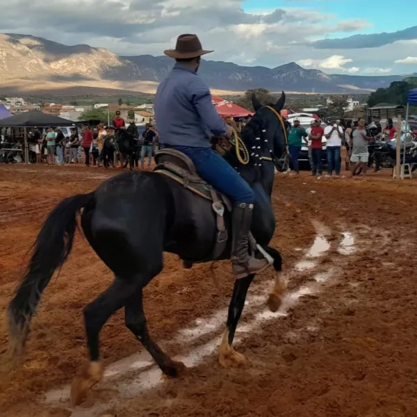Segunda Copa de Marcha reúne criadores e amantes do cavalo em Livramento