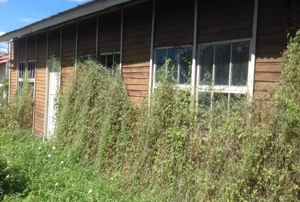 Quantidade de mato toma conta na antiga sede do Ciretran e moradores próximos ao imóvel temem incêndio