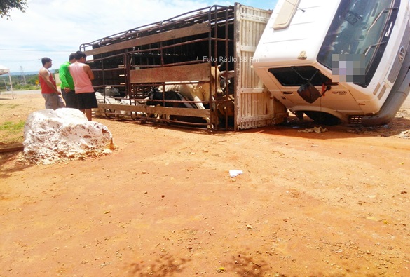 Caminhão carregado com gado tomba em Livramento 
