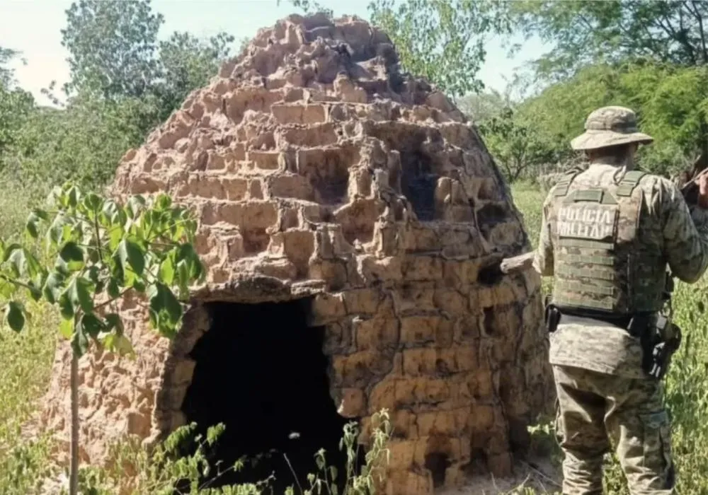 Polícia desarticula fornos clandestinos de carvão em Ibipitanga