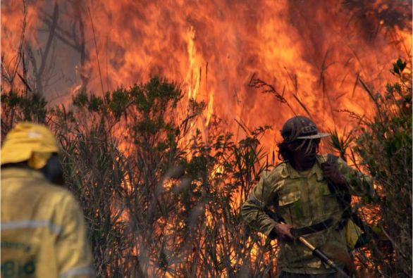 Incêndio na região da Chapada Diamantina é controlado pelo Corpo de Bombeiros