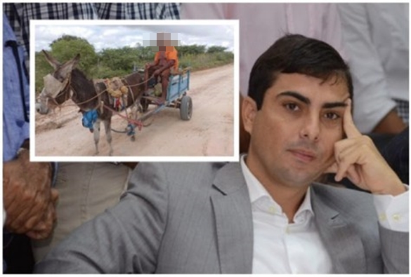 Deputado apresenta projeto para proibir o uso de animais em carroças na Bahia