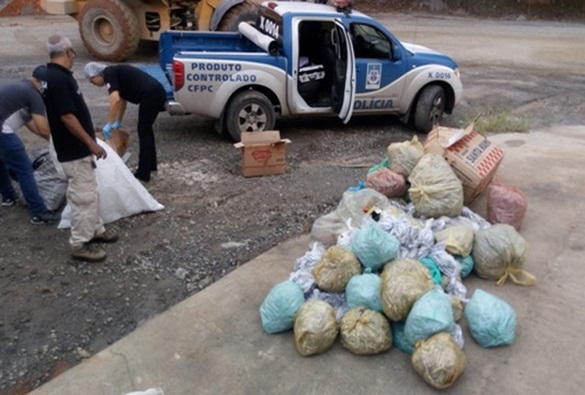 Operação apreende 15 mil fogos de artifício em situação irregular na Bahia