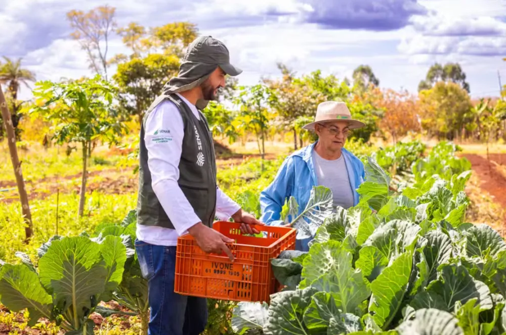 Agricultor familiar que perder safra poderá ter acesso facilitado a benefício do Governo