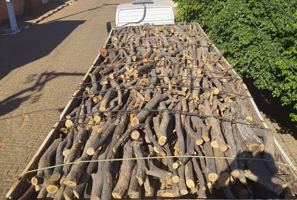 Pela segunda vez, carreta é apreendida transportando madeira ilegal em Paramirim