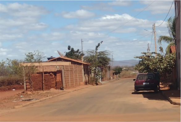 PitBulls atacam cães no Bairro Benito Gama; Um dos animais veio a óbito