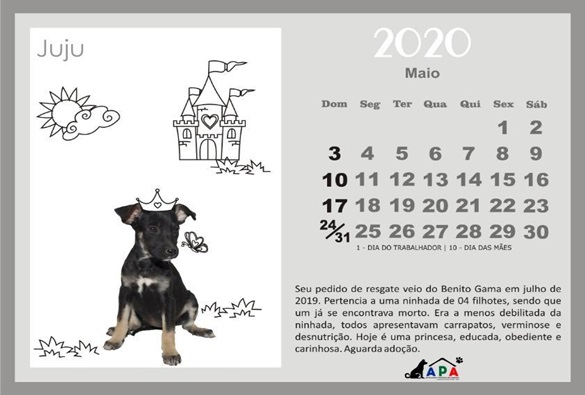 Segunda edição do calendário APA Livramento já está disponível para as vendas 