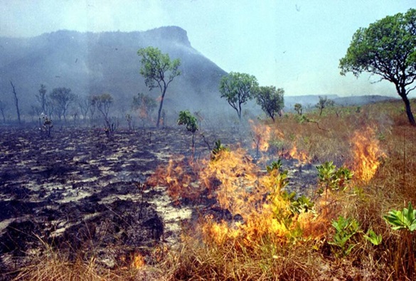 Número de focos de incêndios aumentou na Bahia em relação ao ano passado