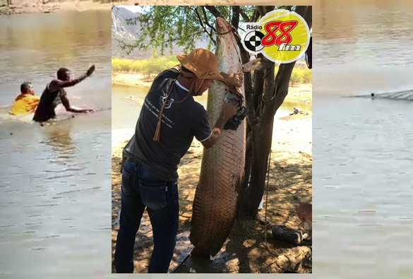 Não é conversa de pescador: Peixe de dois metros é capturado em tanque na zona rural de Livramento 