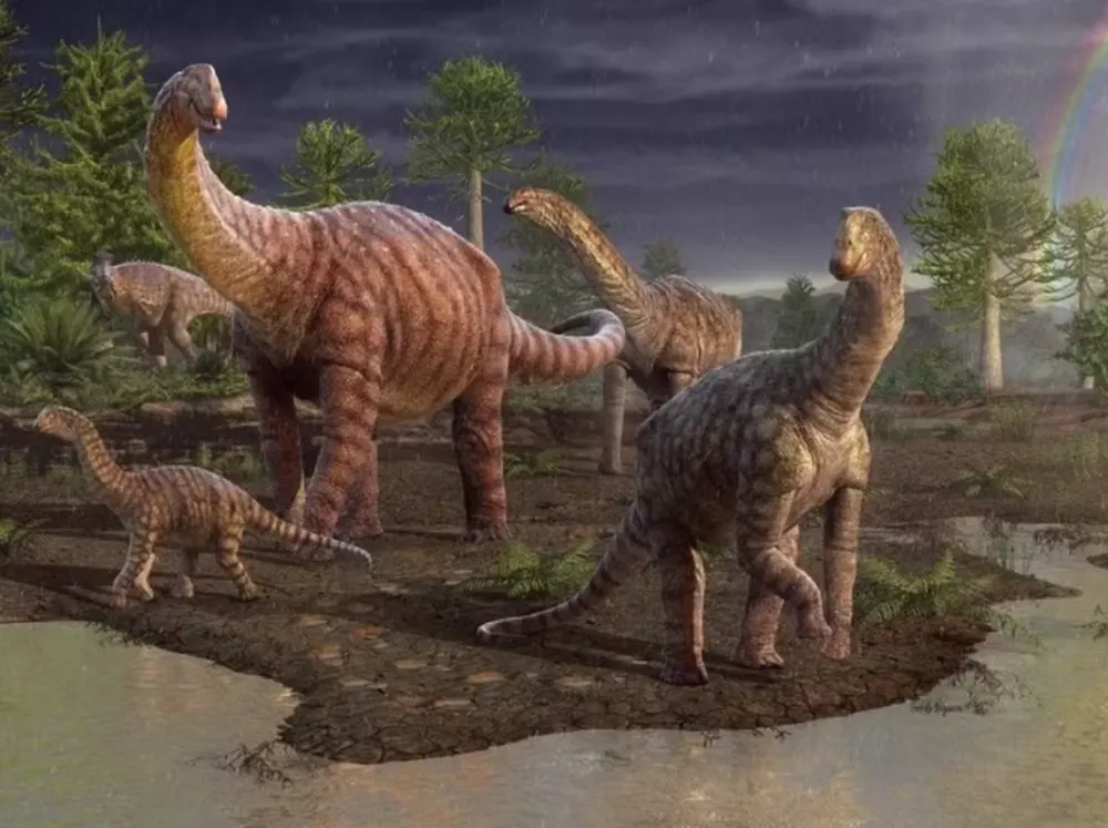 Fósseis de dinossauros são encontrados na Chapada dos Guimarães