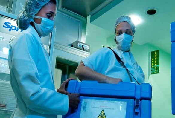 Número de transplantes de coração realizados no país cresce 16% no primeiro semestre de 2023