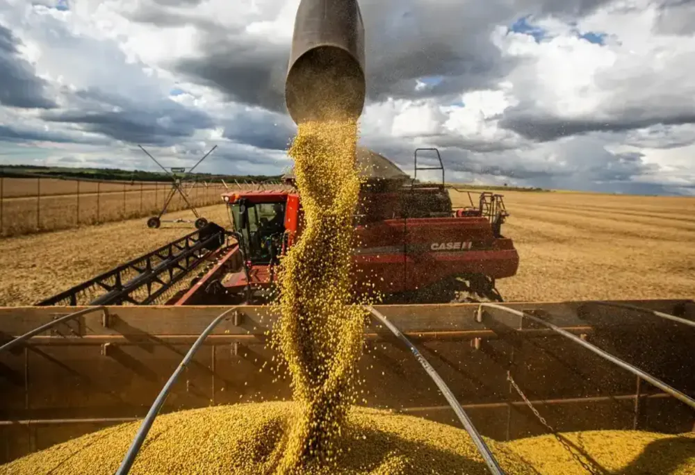 PIB do Brasil cresce 1,4% no primeiro trimestre impulsionado pela agropecuária
