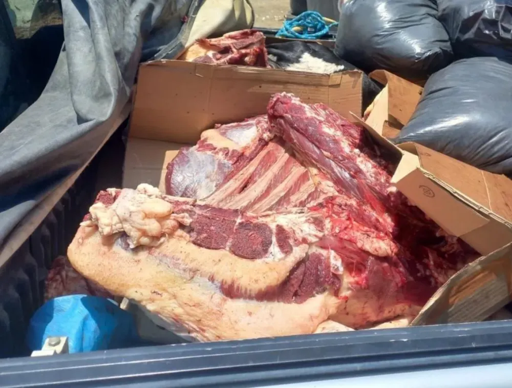  Polícia apreende mais de meia tonelada de carne irregular em Vitória da Conquista