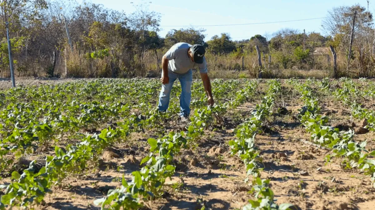 Em entrevista ao Jornal da 88, meteorologista do Inema alerta agricultores da Chapada Diamantina sobre escassez de chuvas 
