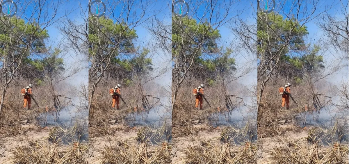 Bombeiros mobilizam 180 agentes para combate a incêndios em Igaporã e mais 10 municípios