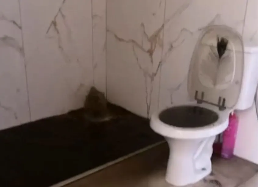 Moradores denunciam retorno de esgoto para dentro de casas em Livramento