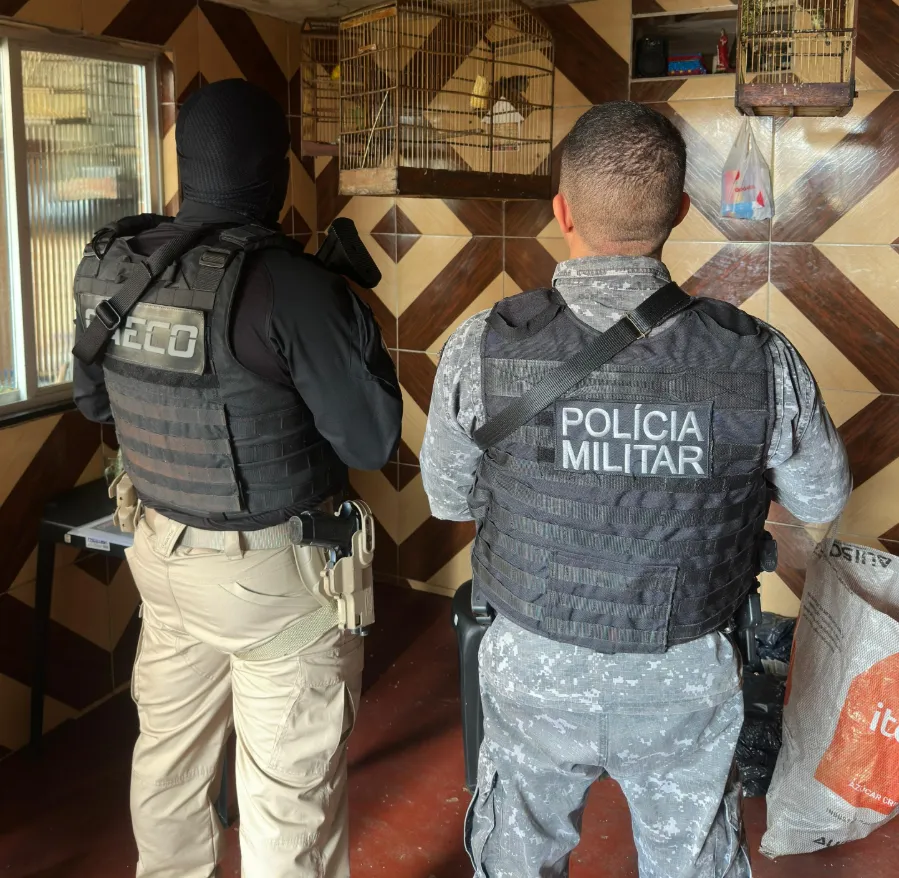MPBA prende um dos maiores traficantes de animais silvestres do país