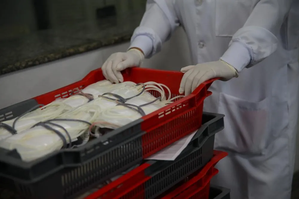 Junho Vermelho 2026 mobiliza baianos para reforçar estoques de sangue durante período crítico 