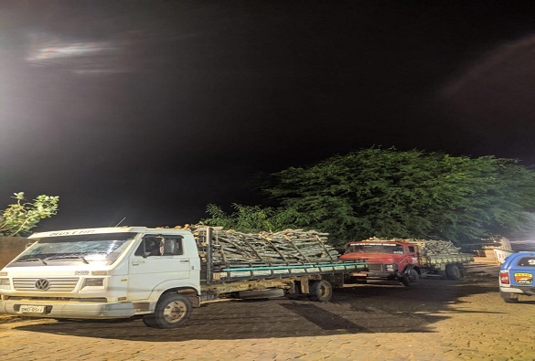 Polícia Militar apreende dois caminhões com madeiras nativas nas proximidades de Itanagé