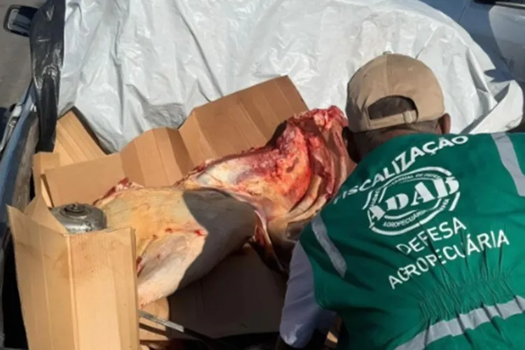 Operação apreende mais de 1 tonelada de carne irregular no sudoeste da Bahia 