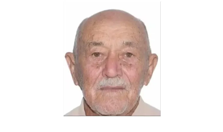 Idoso morre após ser atacado por abelhas em Mutans, distrito de Guanambi