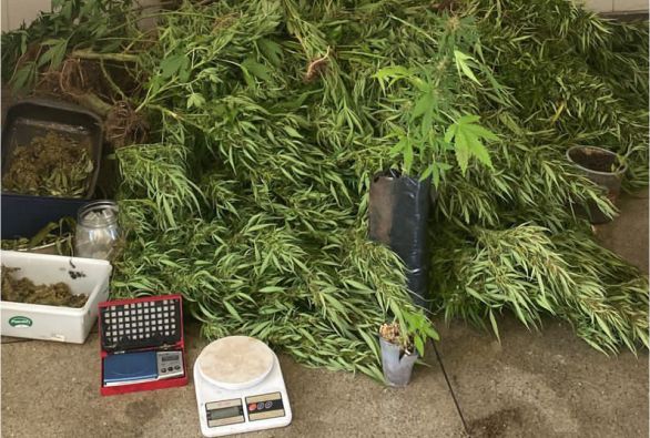 Homem é preso em flagrante acusado de Tráfico de Drogas