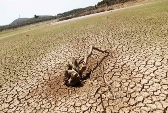 Seca que atingiu o semiárido entre 2012 e 2017 foi a pior já registrada no Brasil