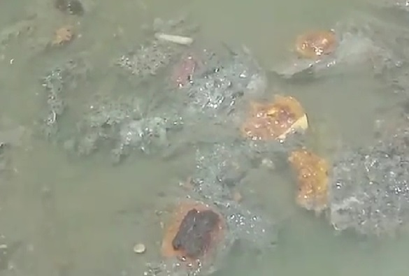 Vídeo mostra esgoto sendo jogado sem tratamento em riacho no município de Rio de Contas; população fica revoltada