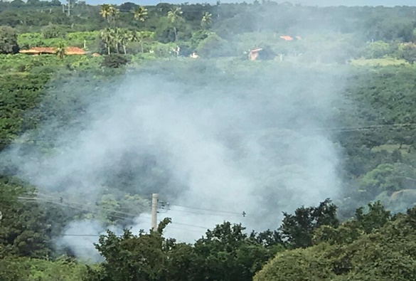 Queimadas urbanas preocupam moradores de Livramento