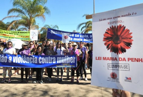 Alteração na Lei Maria da Penha prevê apreensão de armas de agressor