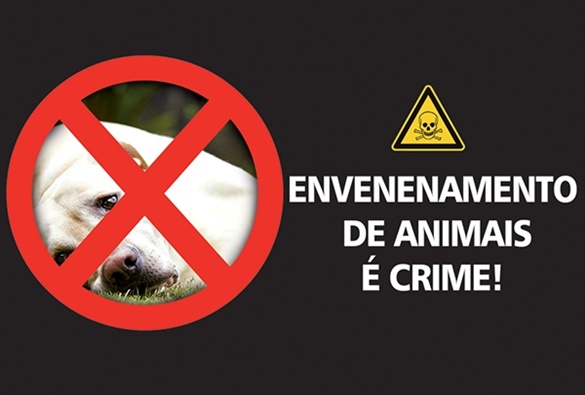 Livramento enfrenta onda de envenenamentos contra animais 
