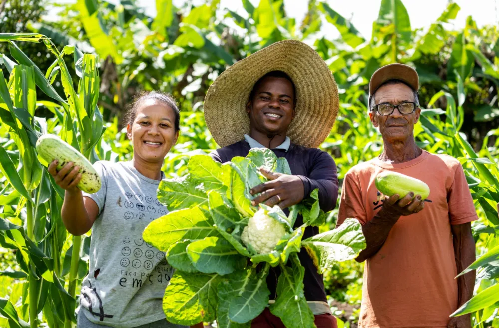 Bahia lança maior Plano Safra da história do estado
