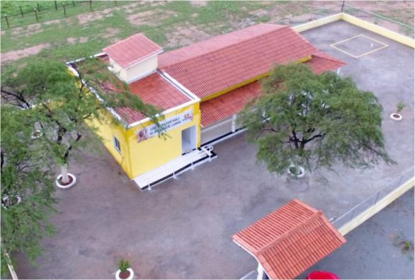 Prefeitura de Guanambi recolheu 29 cães de rua para castração e anunciou campanha de adoção