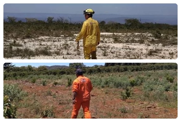 Brigada Gaviões da Chapada realiza monitoramentos na região de Rio de Contas