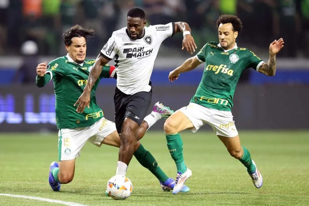 Botafogo vence e elimina o Palmeiras