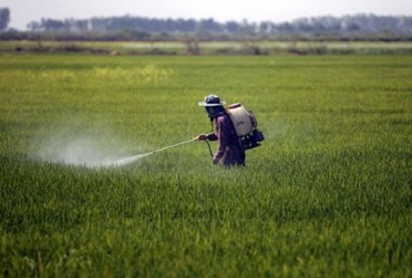MP diz que pelo menos 14 cidades baianas não checam presença de agrotóxico na água