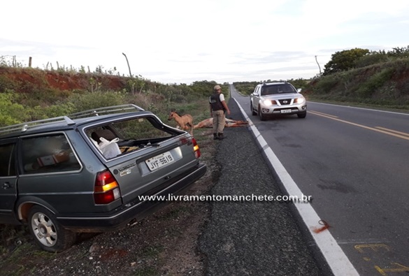 Animal na pista: carro se choca contra égua na BA-122 próximo a Guanambi 