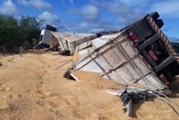 Aracatu: carreta com milho tomba e espalha milho às margens da BA-262