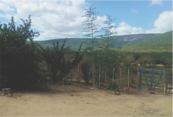 Comunidade rural em Iramaia espera há mais de 20 anos por energia elétrica