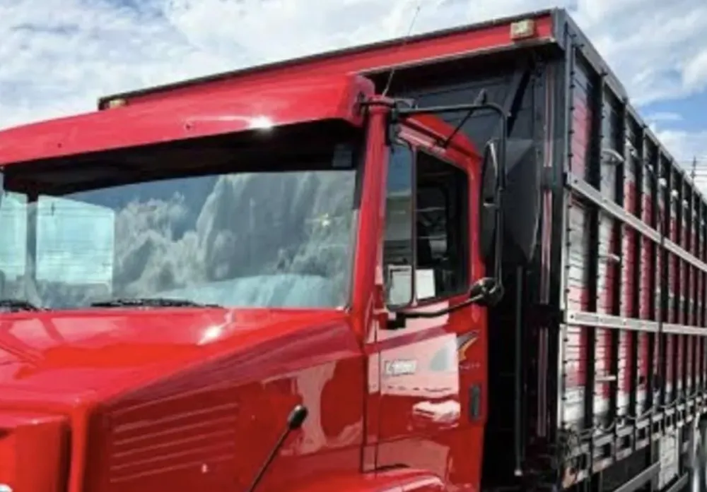 Polícia Rodoviária intercepta transporte irregular de gado em Tanhaçu