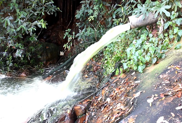 CRIME AMBIENTAL - Esgoto continua sendo lançado na cachoeira (exclusivo)