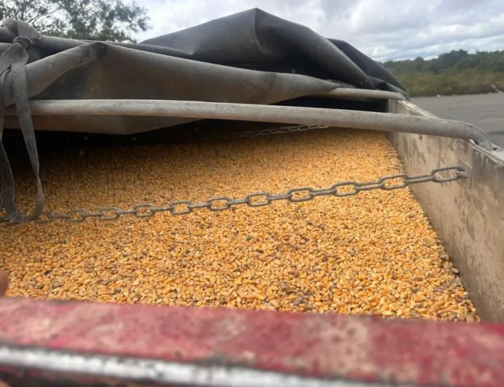 Polícia Rodoviária apreende carga de milho irregular em Vitória da Conquista