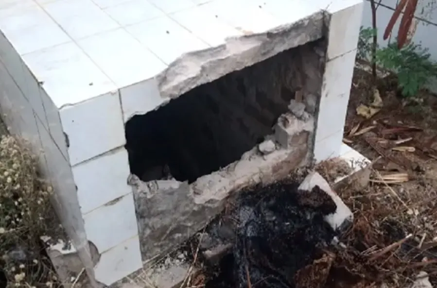 Em Brumado, túmulo é vandalizado para retirada de mel de abelha