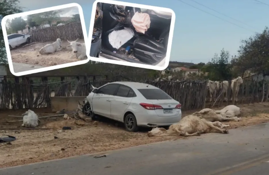 Adolescente atropela bois e colide carro em curral na zona rural de Brumado