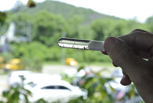 Governo Federal quer reaproveitar inseticida para dengue com validade vencida