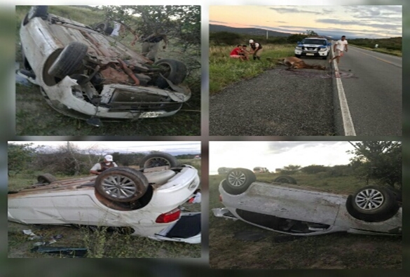 Animal solto em rodovia provoca capotamento envolvendo cinco livramentenses