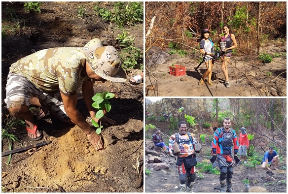 Voluntários plantam árvores em local atingido por queimada em Livramento