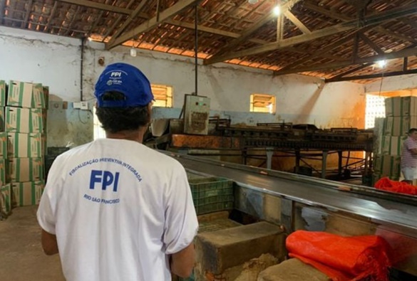 Fiscalização encontra mais de 20 trabalhadores irregulares em fazenda na Bahia