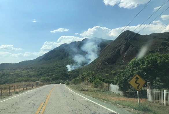 Incêndio de grandes proporções atinge vegetação da Chapada Diamantina 