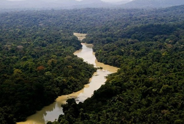 Governo Federal quer diminuir florestas e reservas ambientais para construção de estradas